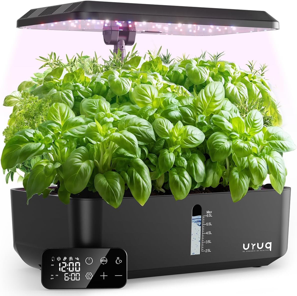 Hydroponics Growing System: The Future of Indoor Gardening